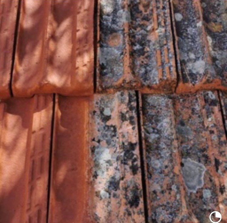 Couverture toiture Cannet