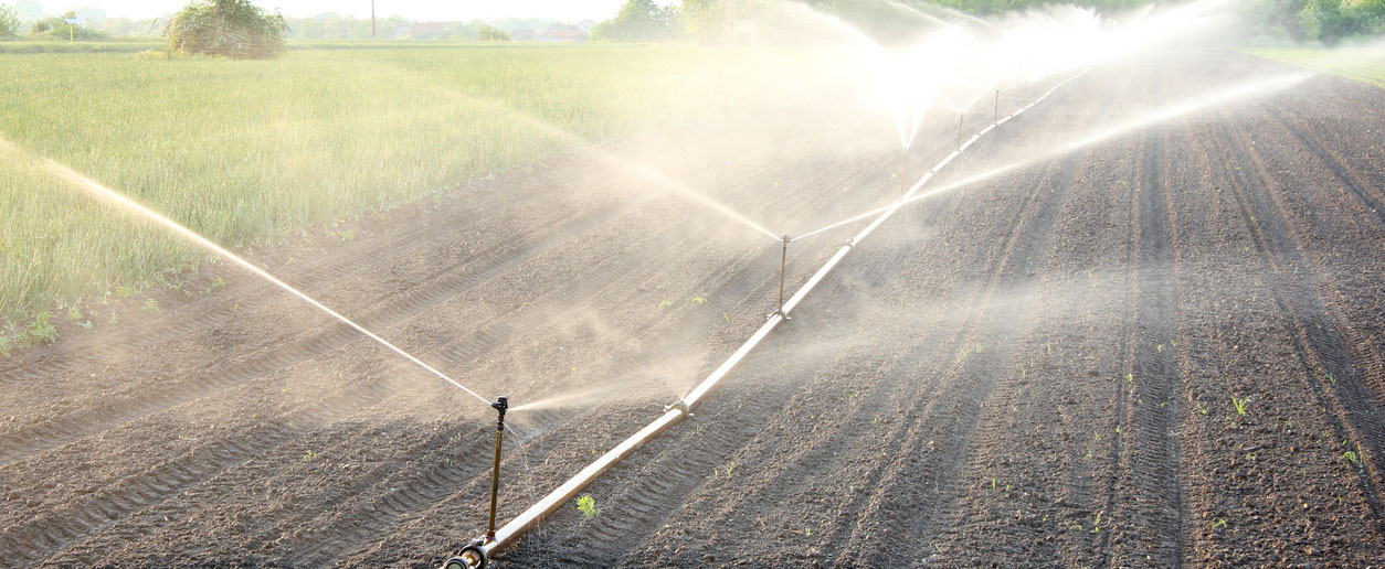 Comment réaliser un captage d'eau pour irrigation ?