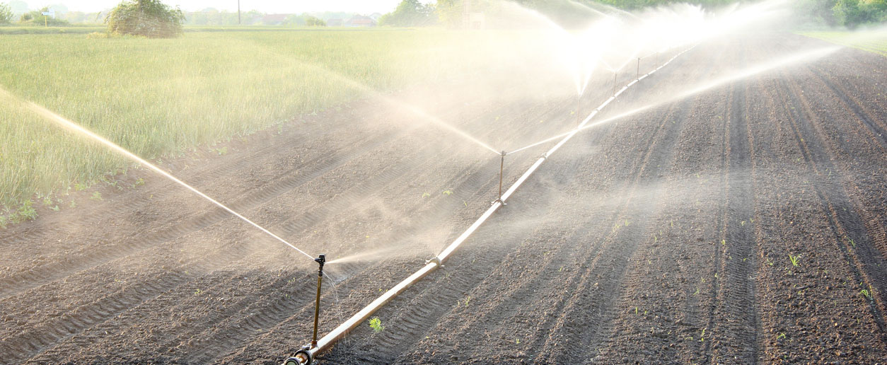 Dispositif De Jardin D'irrigation Système D'irrigation Technique D'arrosage  Dans Le Jardin