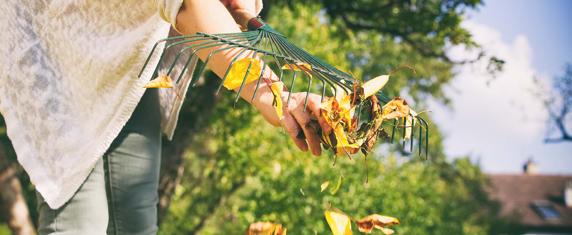 🍁 Quel entretien pour le jardin en automne ? 